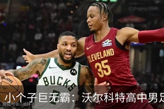 小个子巨无霸：沃尔科特高中男足的速度狂飙