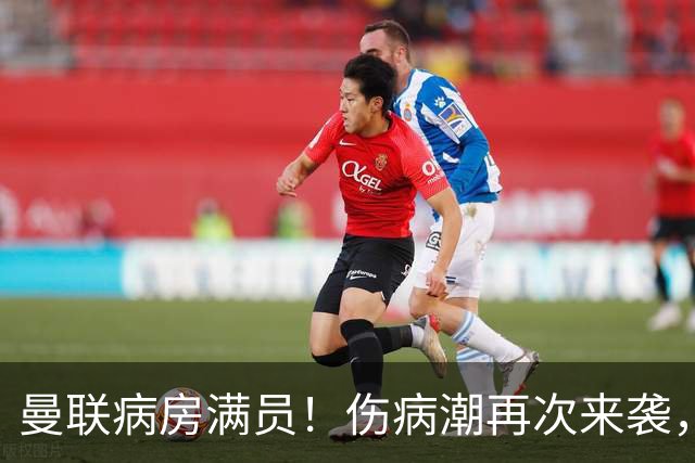 曼联病房满员！伤病潮再次来袭，谢什科命运待定